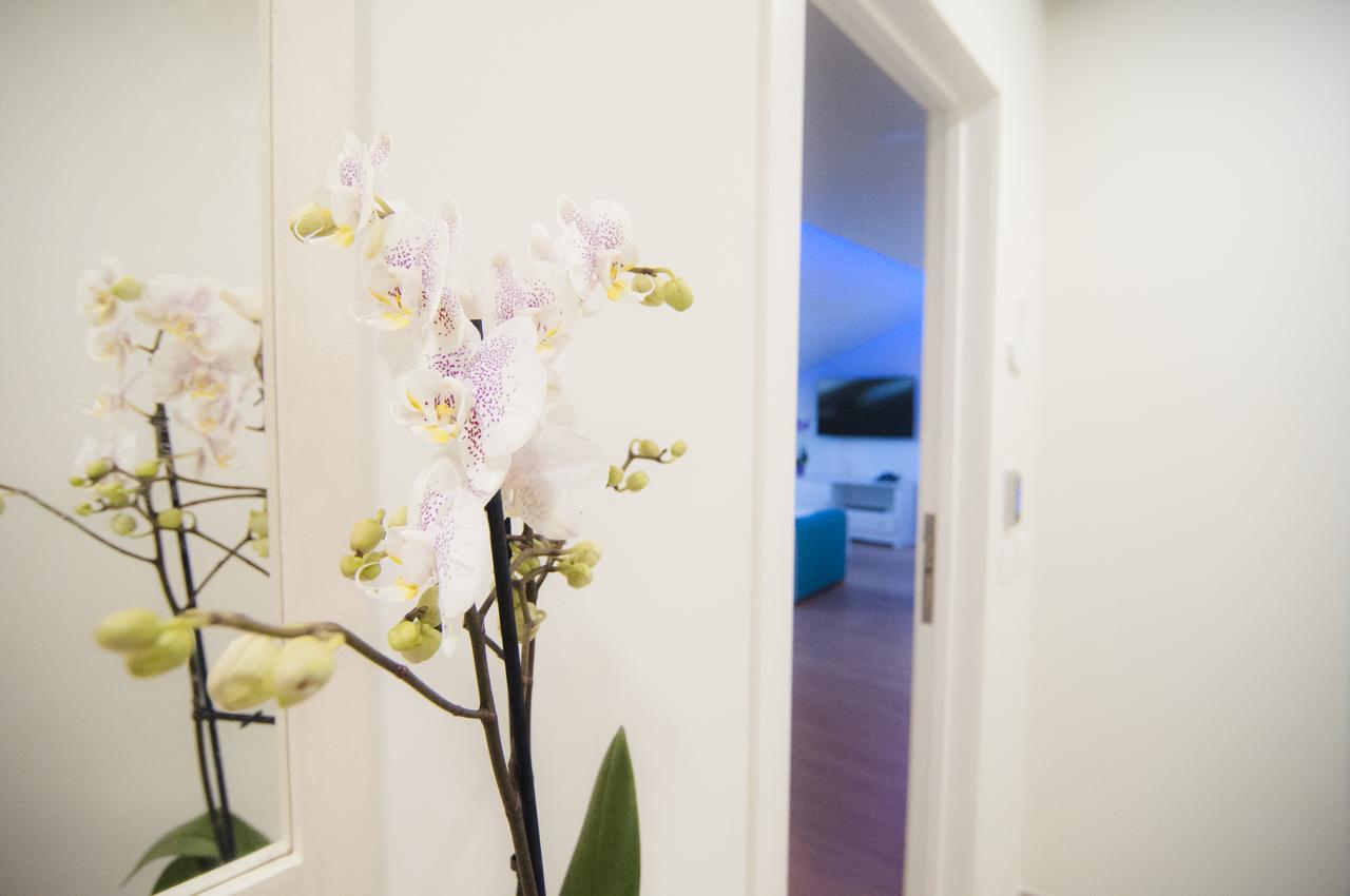 Los Rodeos Luxury Vivienda Vacacional La Laguna  Eksteriør bilde